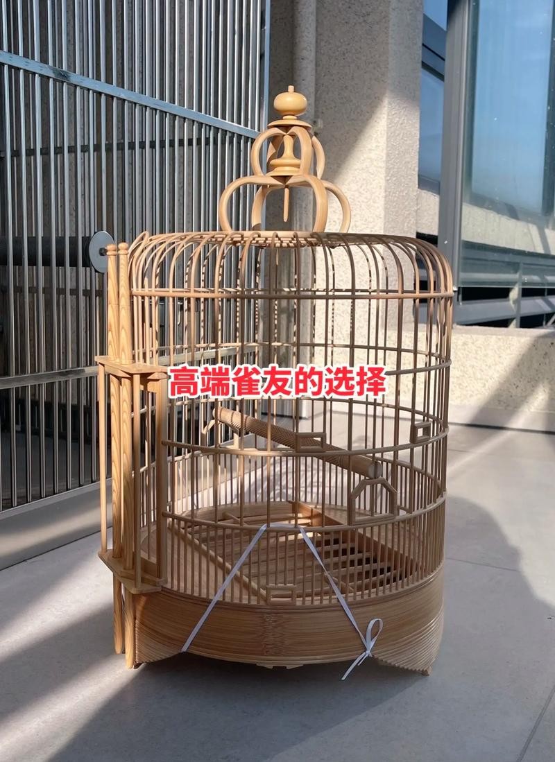 画眉鸟笼，品茶时光的灵动雅趣