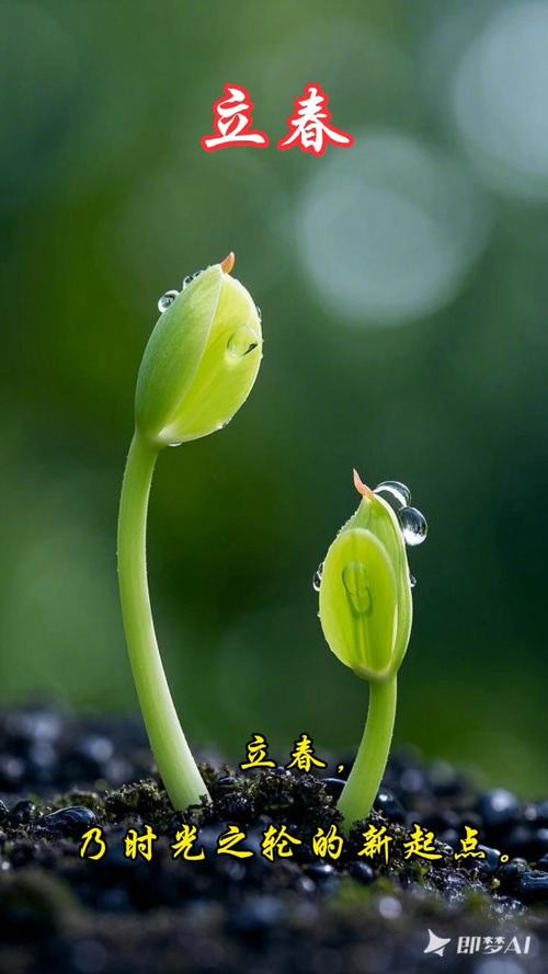 立春新希望，大地回暖，万物复苏的生机与期待